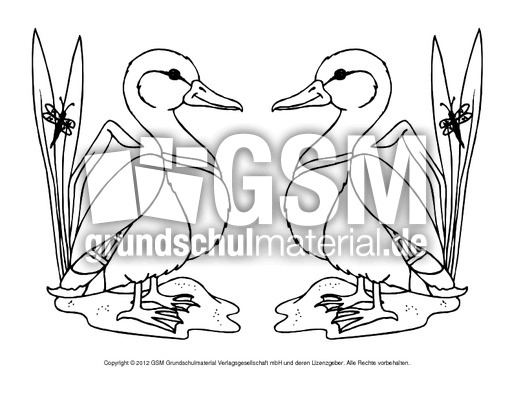 Ausmalbilder-Stockente 12.pdf